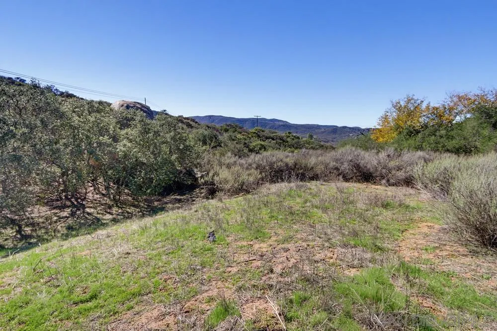 17532 Rav Ct, Jamul, CA 91935 Yard