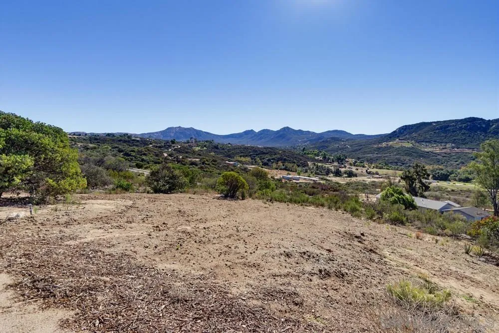 17532 Rav Ct, Jamul, CA 91935 Yard
