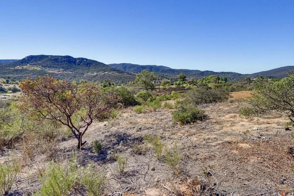 17532 Rav Ct, Jamul, CA 91935 Yard