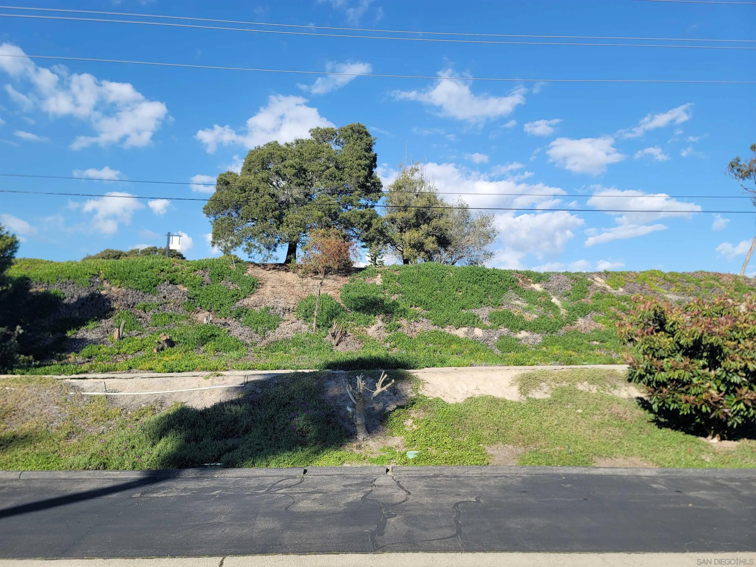 Photo #17: 2600670 Listing: Photo #17