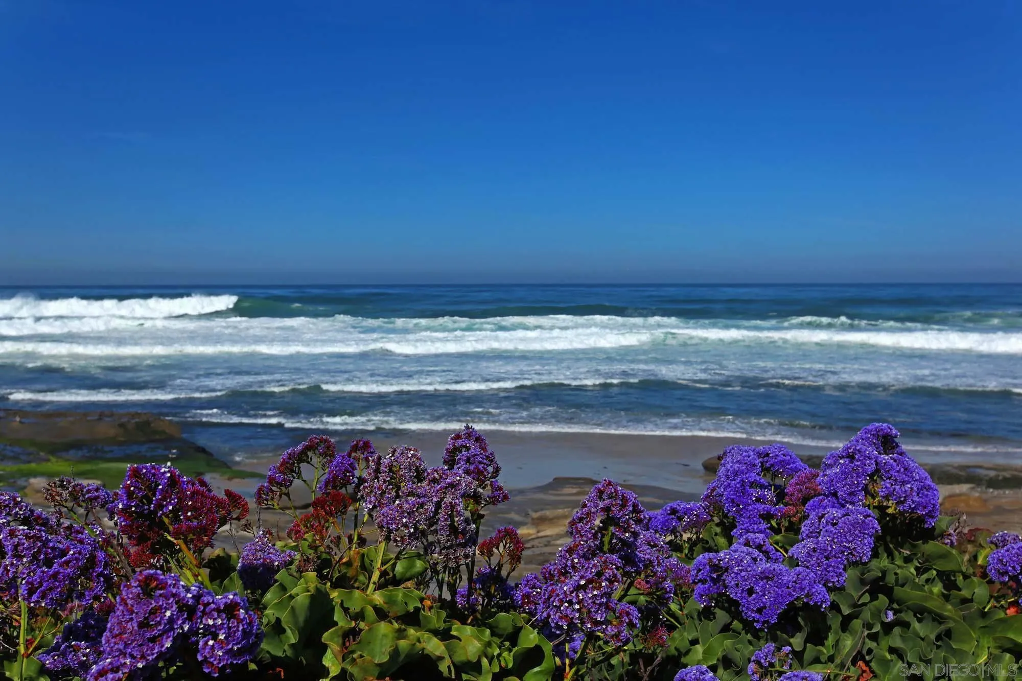 Photo #24: 2600882 Listing: Photo #24