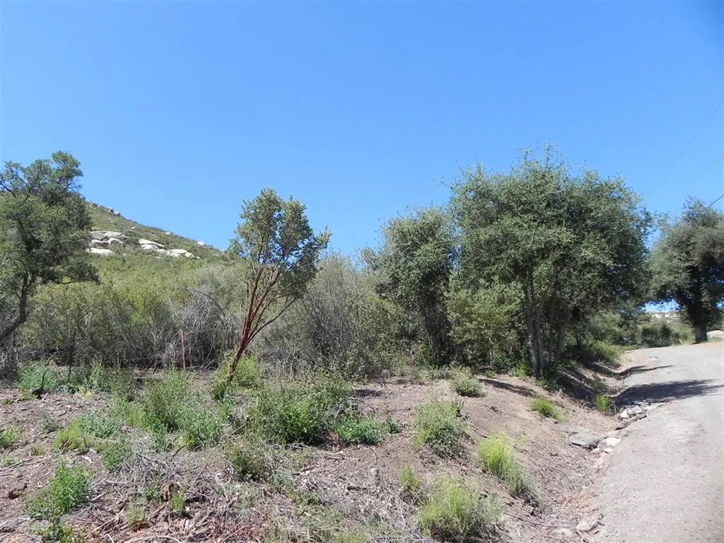 0 Off Viejas Grade, Descanso, Ca 91916 - Photo 4 of 7, Descanso, CA