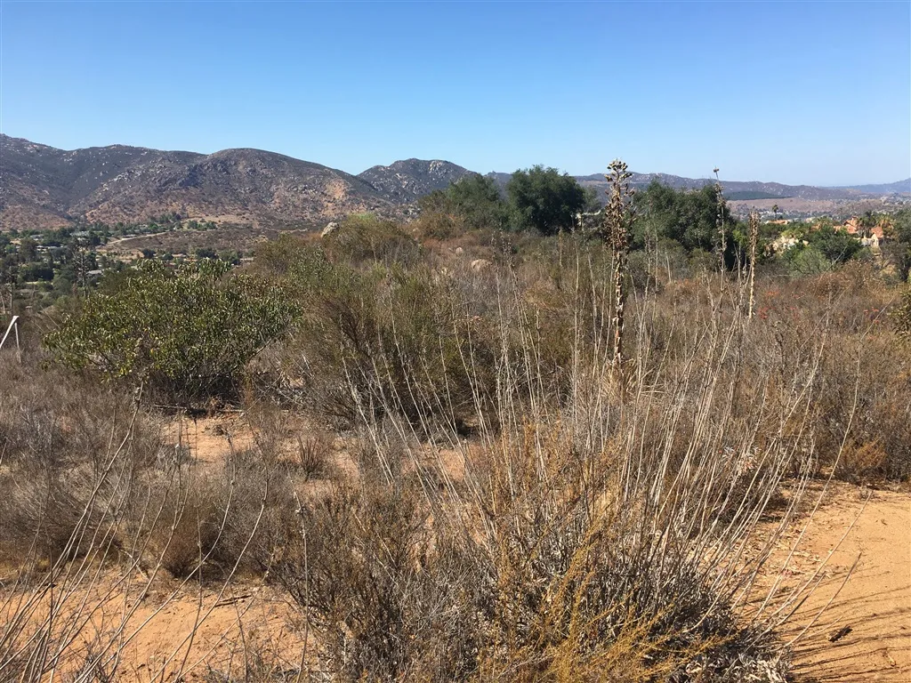 Houses For Rent La Quinta
