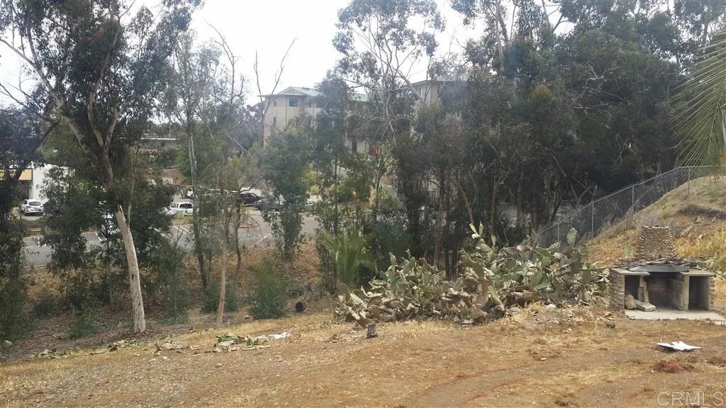 Guava, La Mesa, CA, 91942