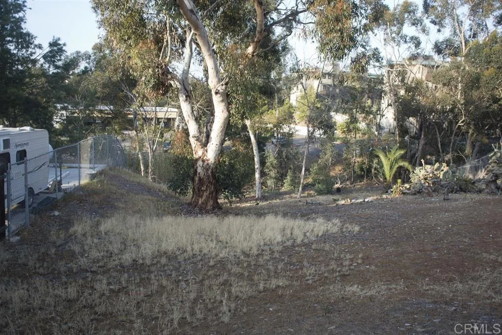 Guava, La Mesa, CA, 91942