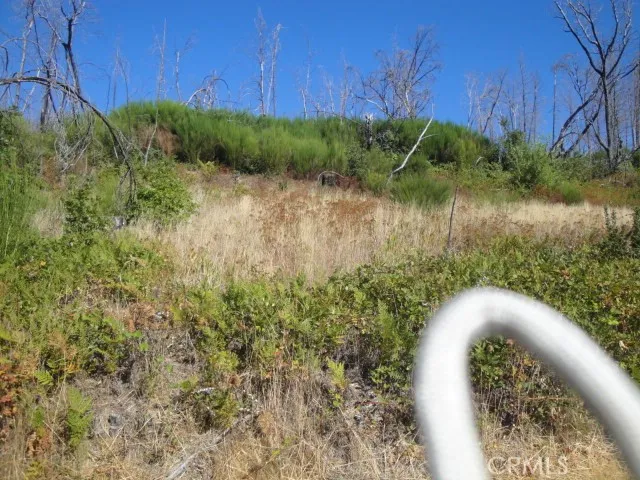 0 Meadow, Berry Creek, CA, 95916