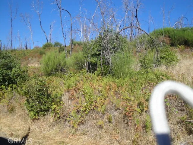 Our listings