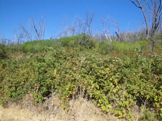 0 Meadow, Berry Creek, CA, 95916