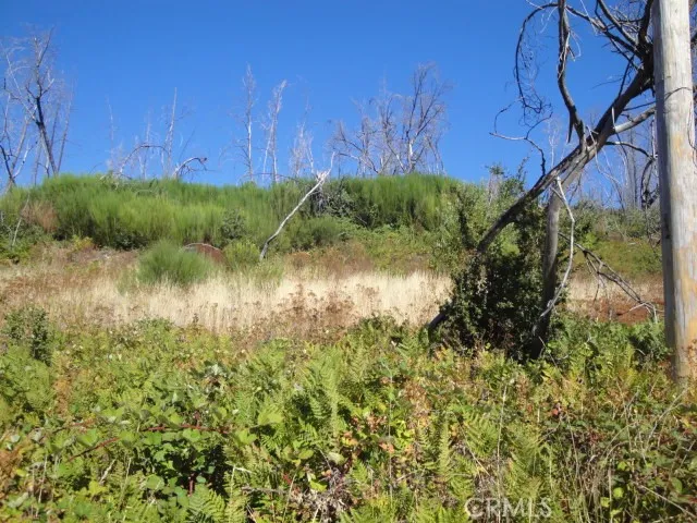 0 Meadow, Berry Creek, CA, 95916