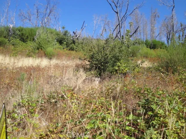 0 Meadow, Berry Creek, CA, 95916