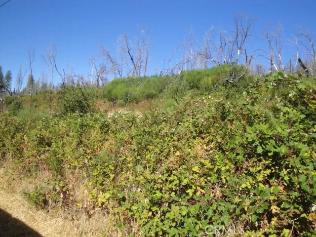 0 Meadow, Berry Creek, CA, 95916