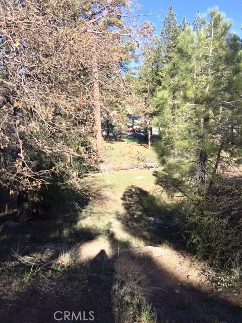 Big Bear, CA 92315