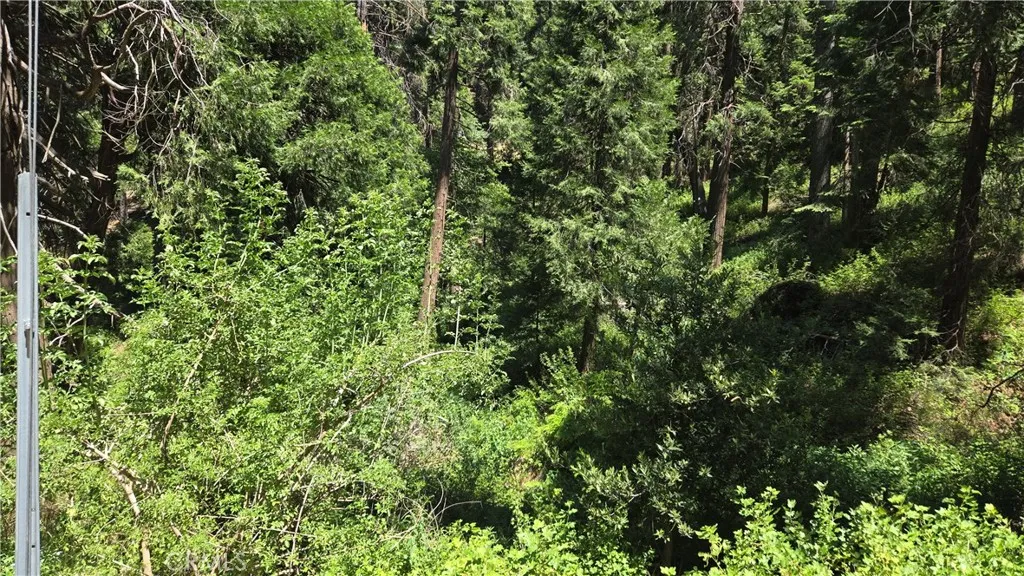 0 Burnt Mill Canyon Rd, Cedarpines Park, Ca 92322 - Photo 3 of 8, Cedarpines Park, CA