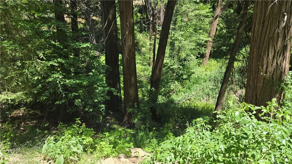 0 Burnt Mill Canyon Rd, Cedarpines Park, Ca 92322