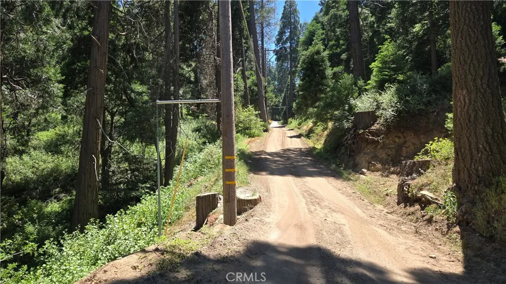 0 Burnt Mill Canyon Rd, Cedarpines Park, Ca 92322 - Photo 5 of 8, Cedarpines Park, CA