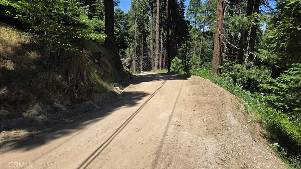 0 Burnt Mill Canyon Rd, Cedarpines Park, Ca 92322 - Photo 4 of 8, Cedarpines Park, CA