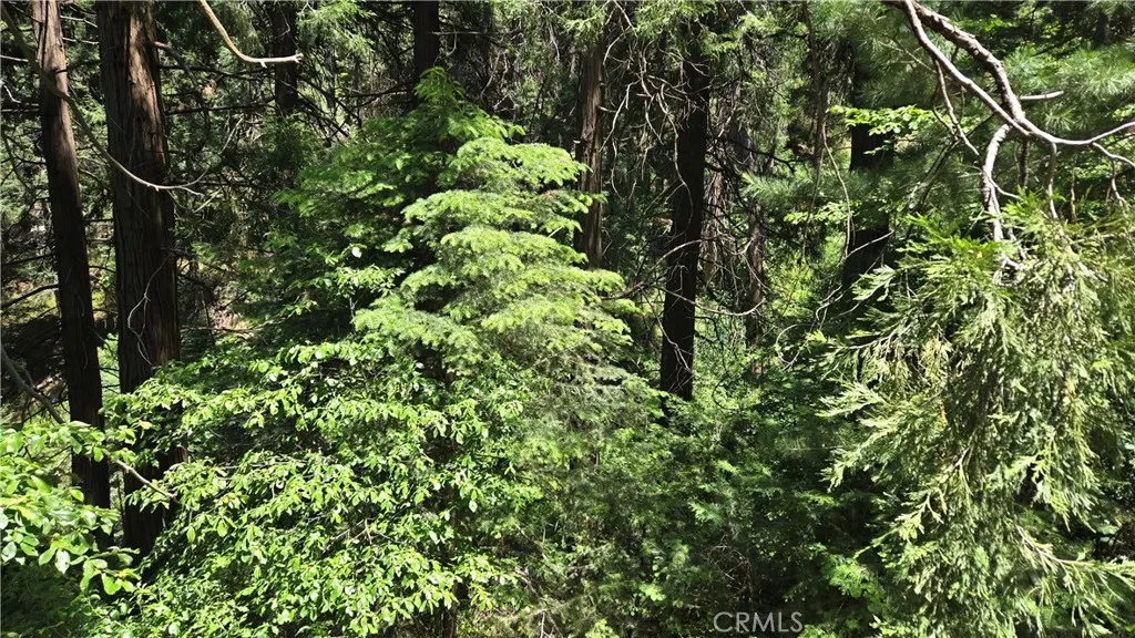 0 Burnt Mill Canyon Rd, Cedarpines Park, Ca 92322 - Photo 2 of 8, Cedarpines Park, CA