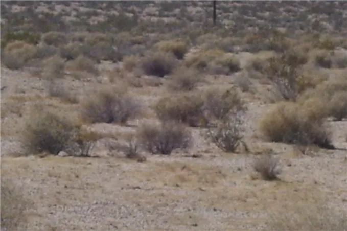 46016 Manix Road, Newberry Springs, Ca 92365 - Photo 5 of 10, Newberry Springs, CA