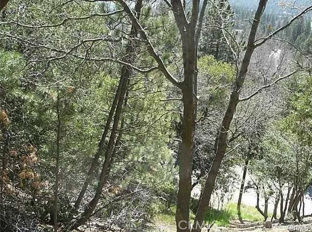 27346 N Bay Rd, Lake Arrowhead, Ca 92352 - Photo 4 of 4, Lake Arrowhead, CA