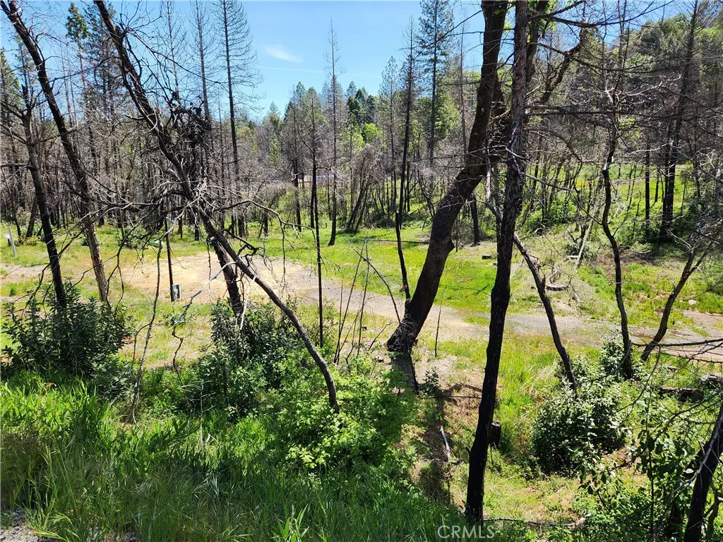 7 Huffright, Berry Creek, Ca 95916 - Photo 5 of 22, Berry Creek, CA