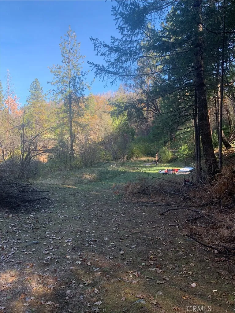 0 Four Trees Road, Concow, Ca 95965 - Photo 2 of 10, Concow, CA