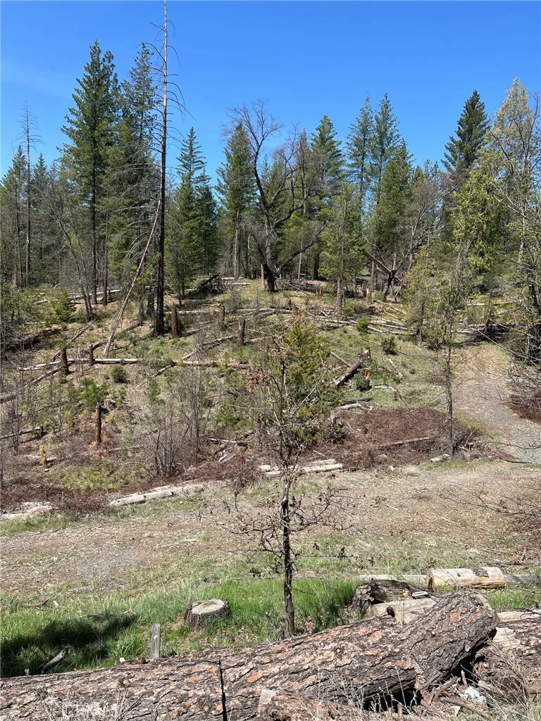 2 Daneri, Temecula, CA, 92590