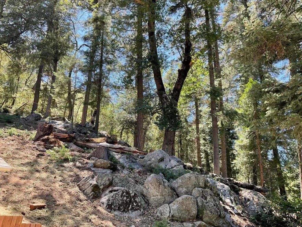 https://cdn.realtyfeed.com/cdn/127/305706554/f45348d35b355a61dd710446179a2e06.webp