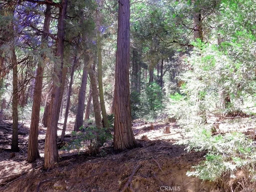 8 Mojave River, Cedarpines Park, Ca 92322