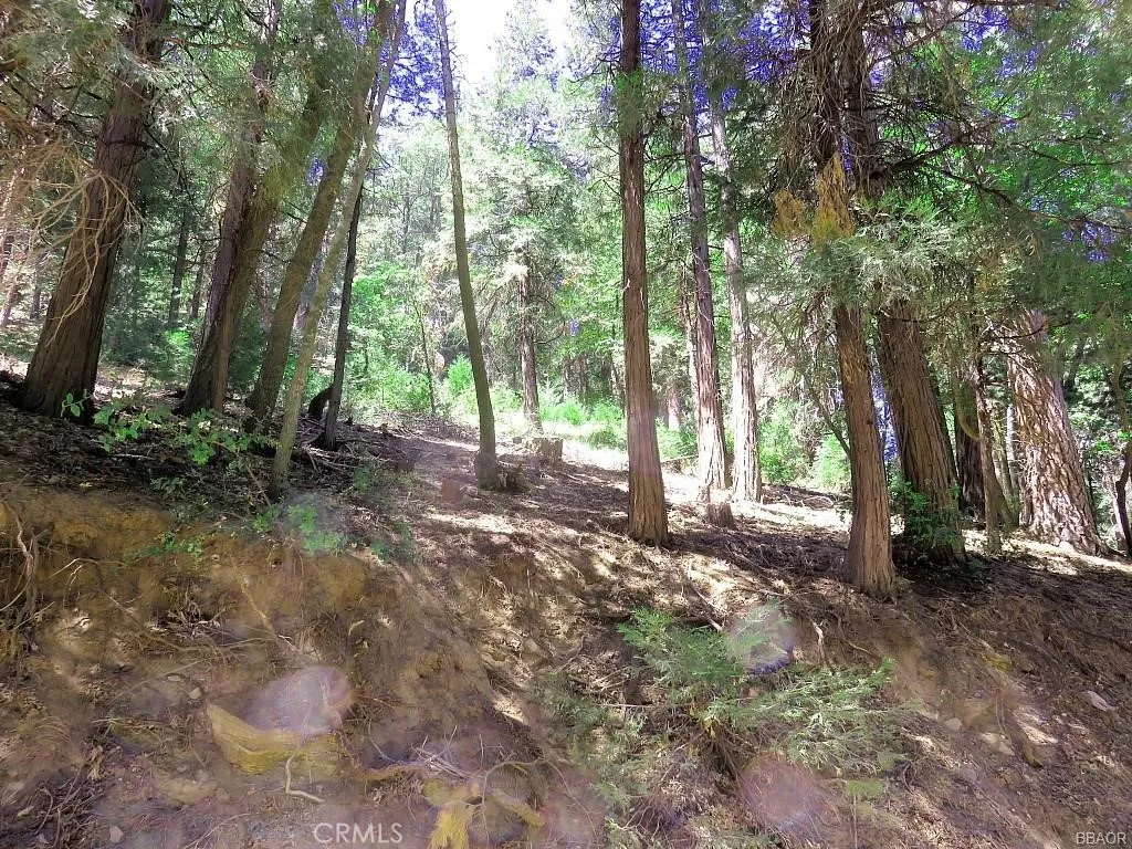 8 Mojave River, Cedarpines Park, Ca 92322 - Photo 5 of 12, Cedarpines Park, CA