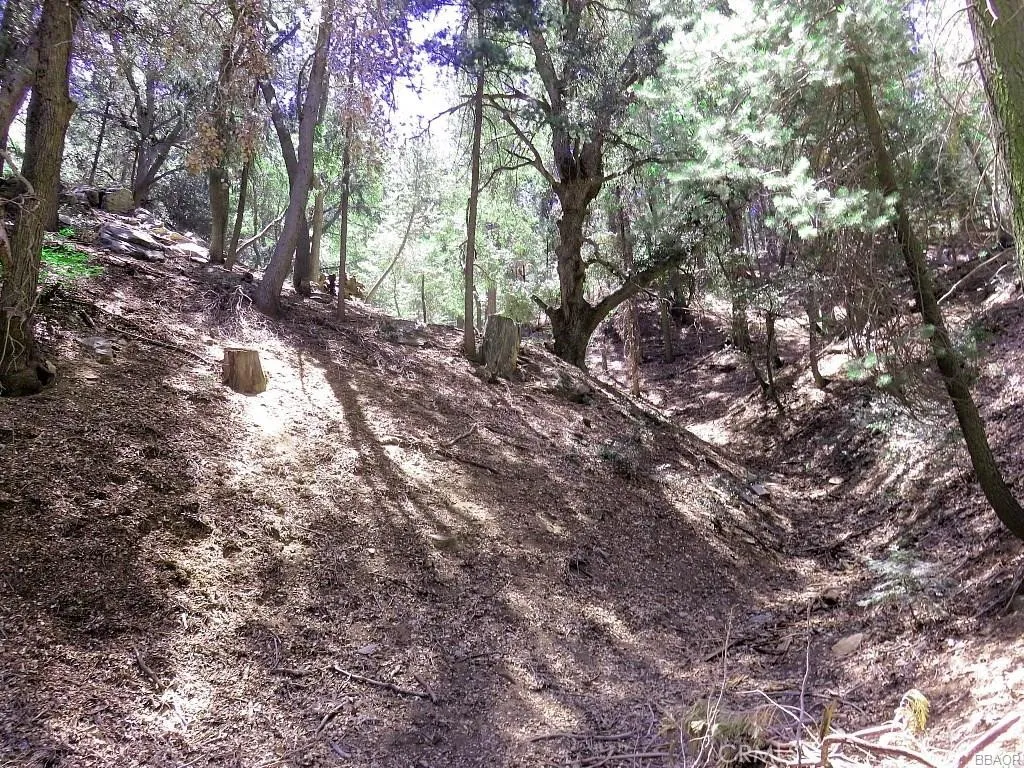 8 Mojave River, Cedarpines Park, Ca 92322 - Photo 2 of 12, Cedarpines Park, CA