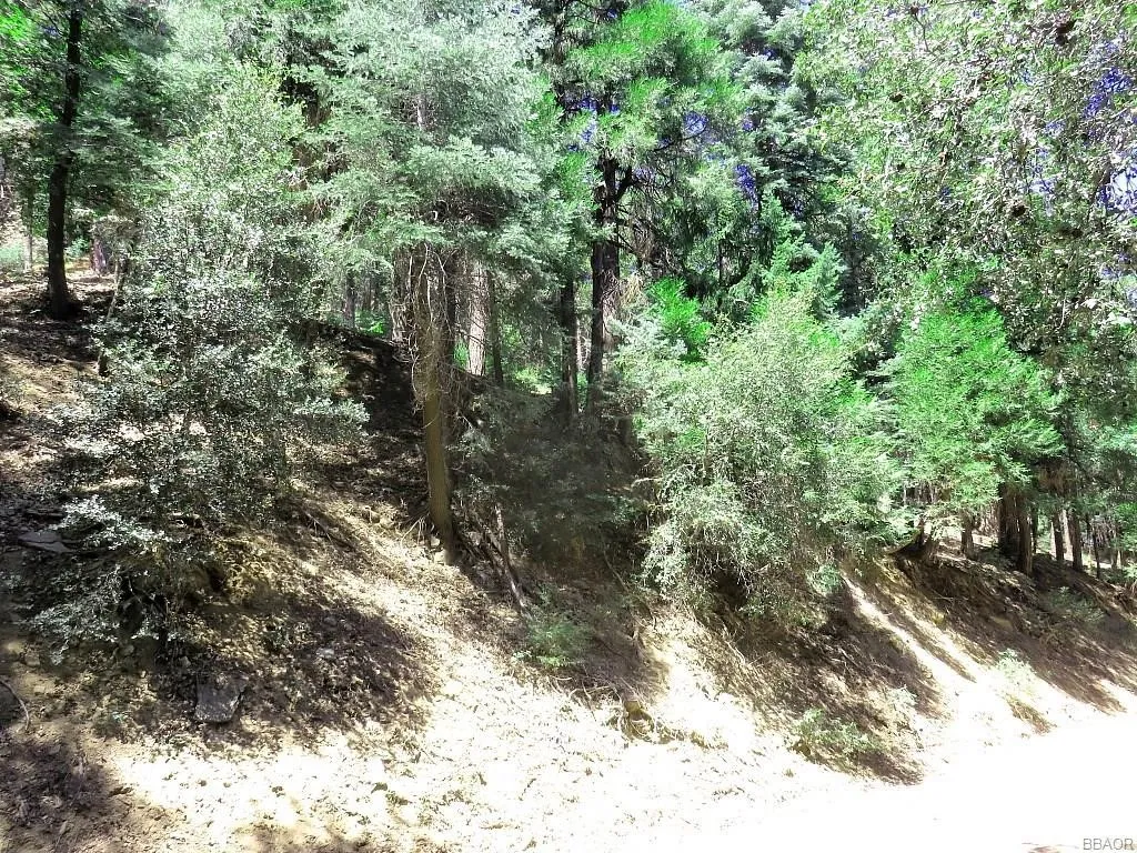 8 Mojave River, Cedarpines Park, Ca 92322 - Photo 3 of 12, Cedarpines Park, CA
