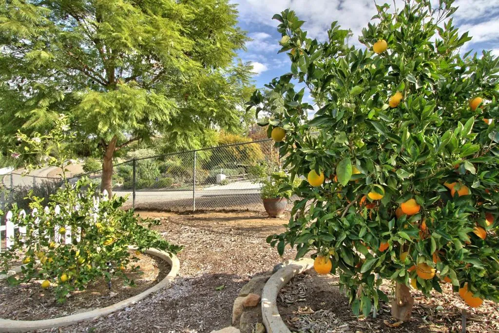 https://cdn.realtyfeed.com/cdn/127/305830504/02068cd5ecc578a0eb51b51596fc7a38.webp