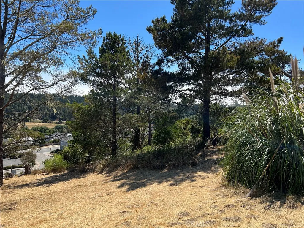 4925 Grove, Cambria, CA, 93428