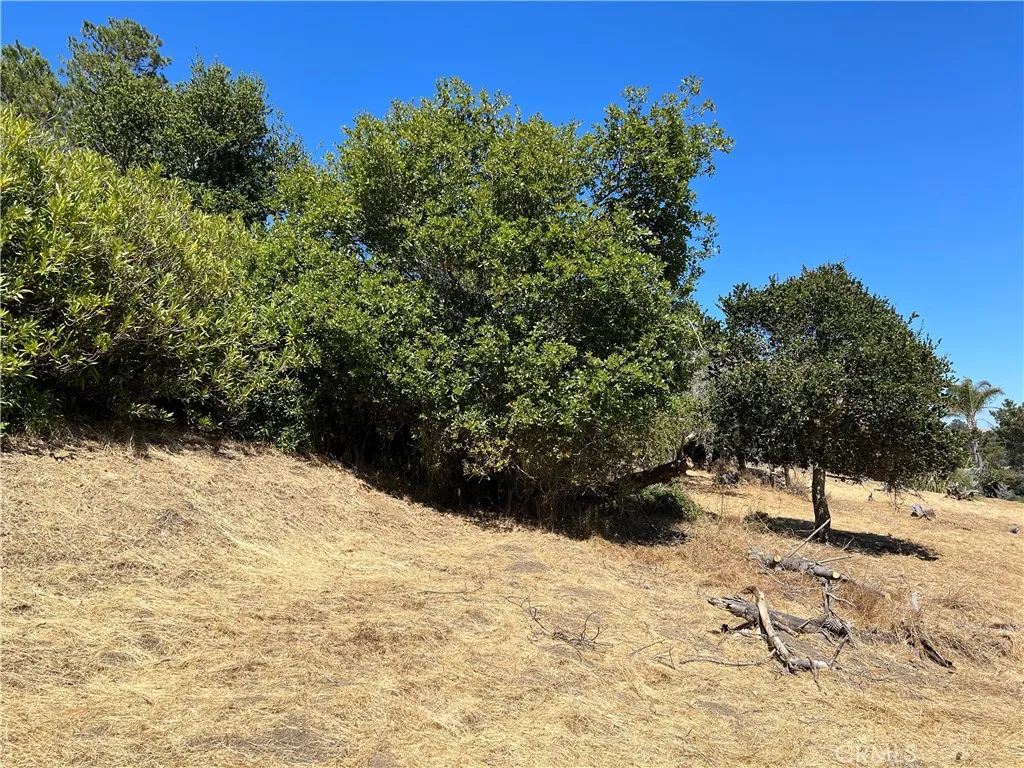 4925 Grove, Cambria, CA, 93428
