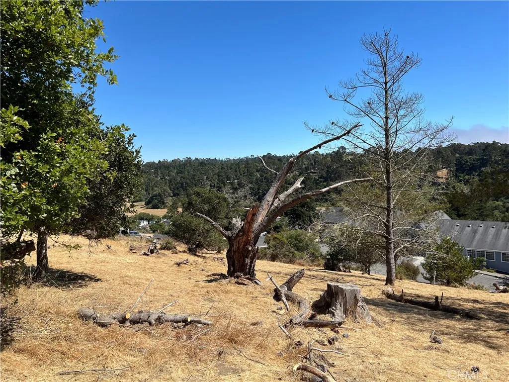 4925 Grove, Cambria, CA, 93428