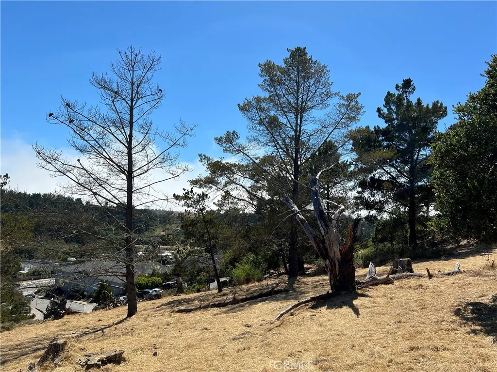 4925 Grove, Cambria, CA, 93428