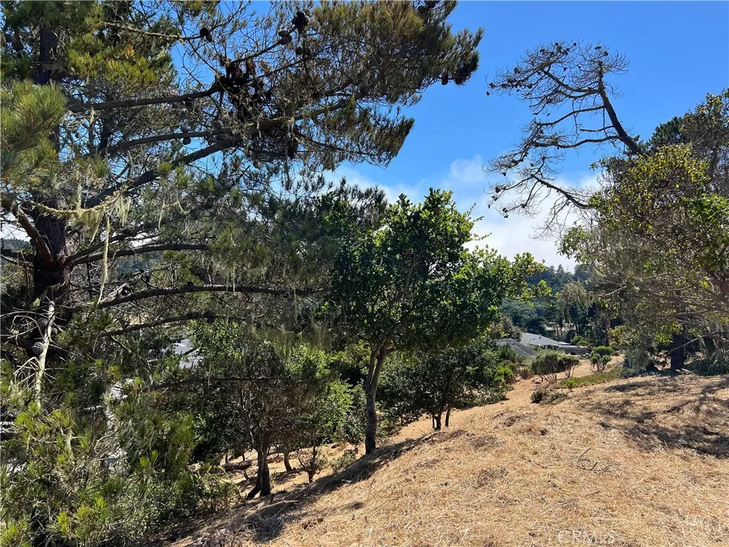 4925 Grove, Cambria, CA, 93428
