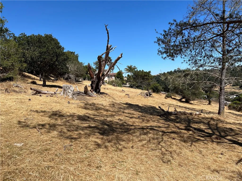 4925 Grove, Cambria, CA, 93428