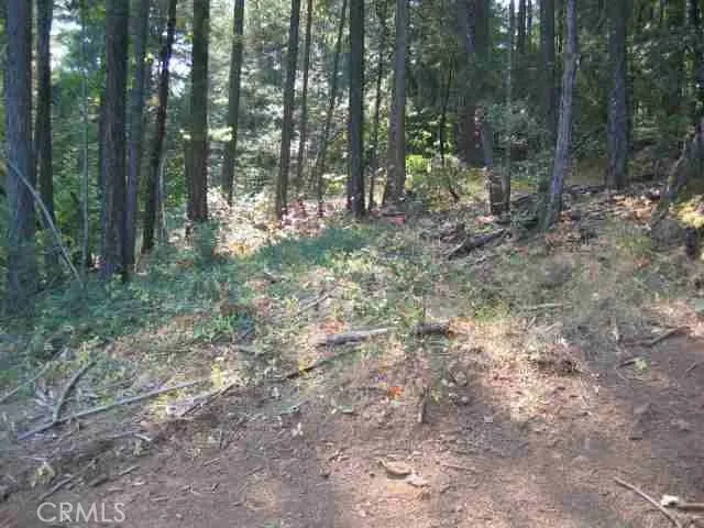 Berry Creek, CA 95916