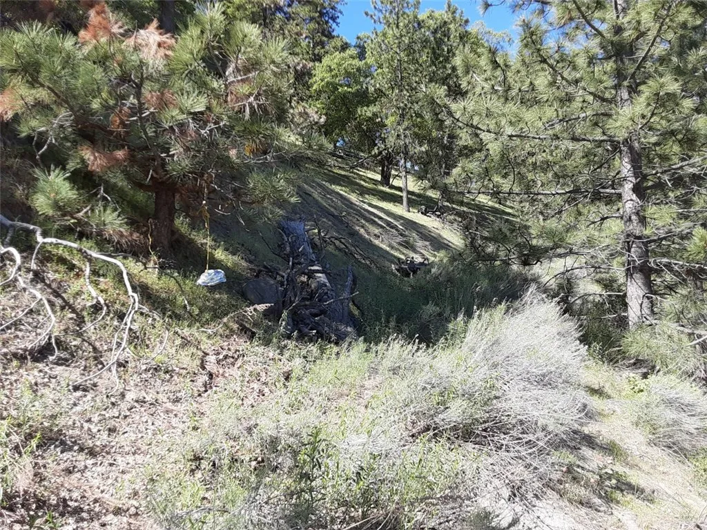 0 INTERLAKEN, Tehachapi, CA, 93581