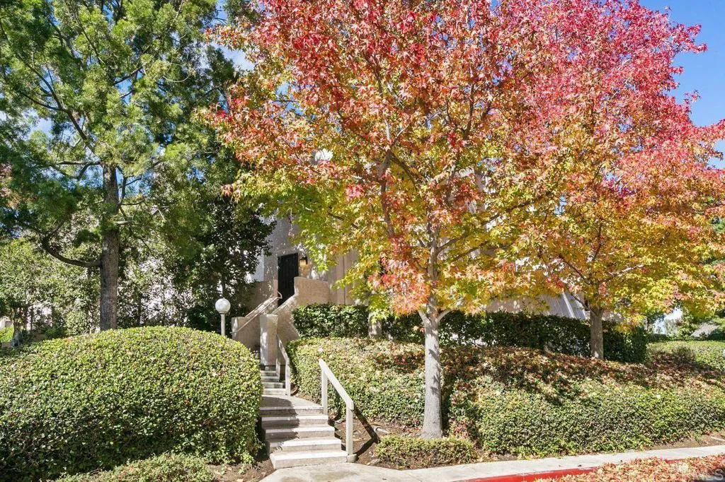 https://cdn.realtyfeed.com/cdn/127/305884559/35acc3af3e8bb3d5c3ffe9b48d718699.webp