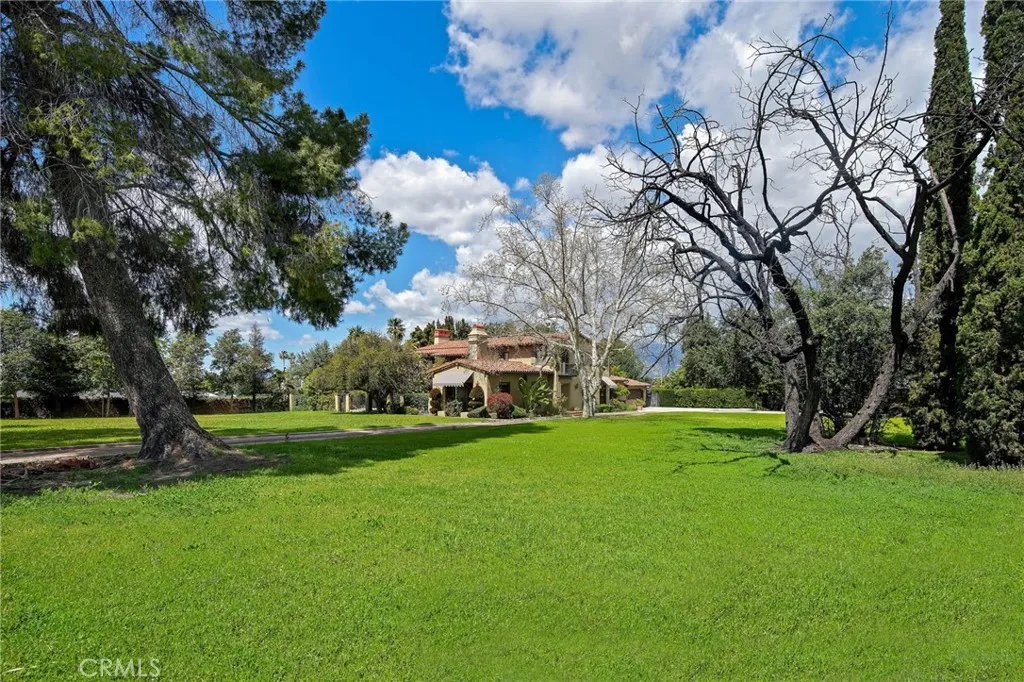 2527  Cameron Avenue