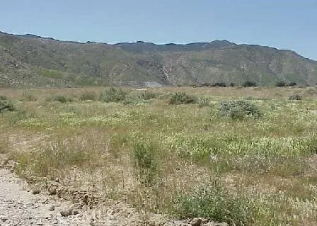 Cabazon, CA 92230