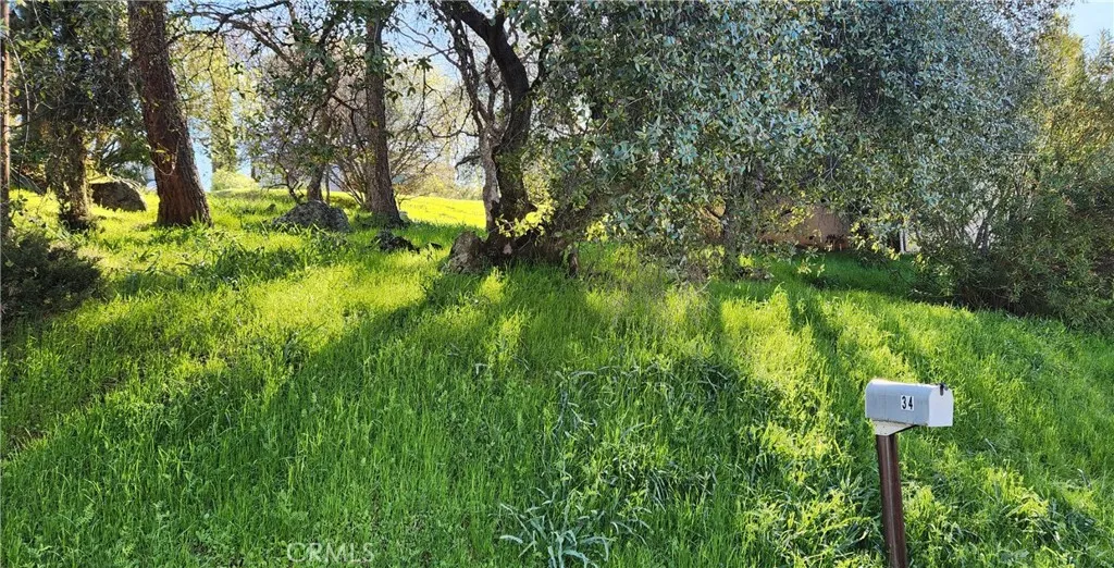 0 La Foret, Oroville, Ca 95966