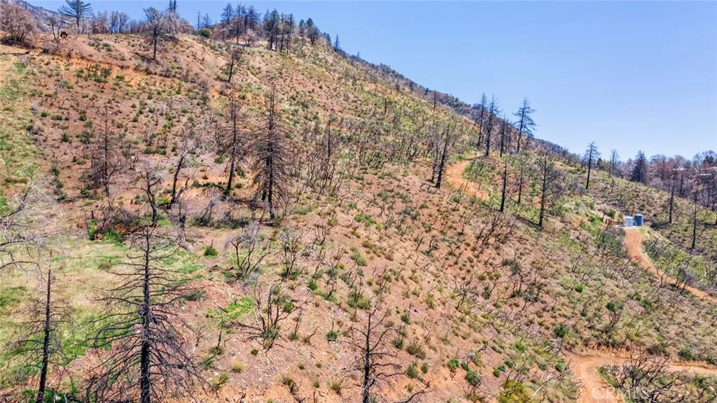 0 Pine Bench, Oak Glen, CA, 92399