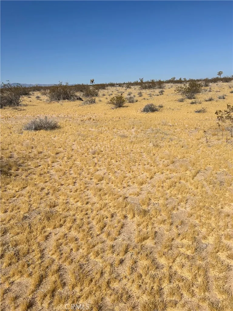 5 Mi N/o Shadow Mt, Adelanto, Ca 92301