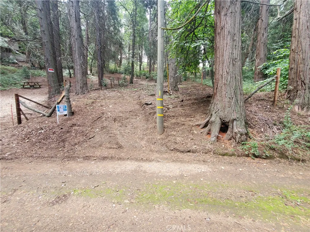 Cedarpines Park, CA 92322