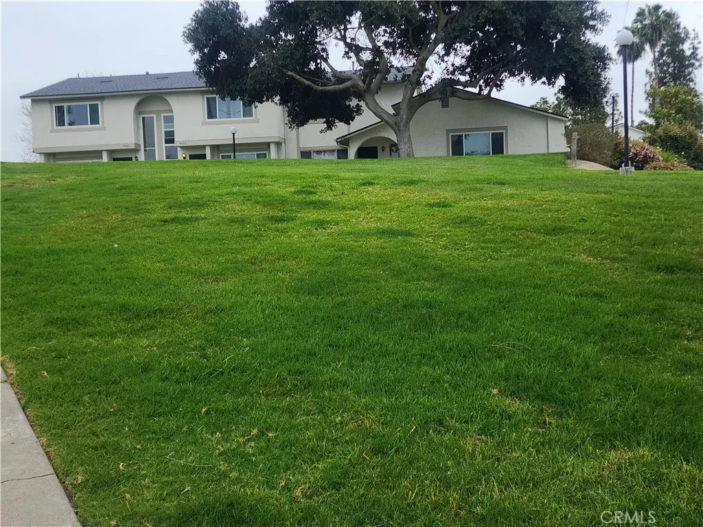 Photo #2: IV23135736 Listing 