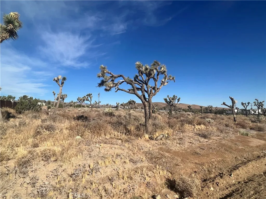 111 Wallaby, Yucca Valley, Ca 92284 - Main photo, Yucca Valley, CA