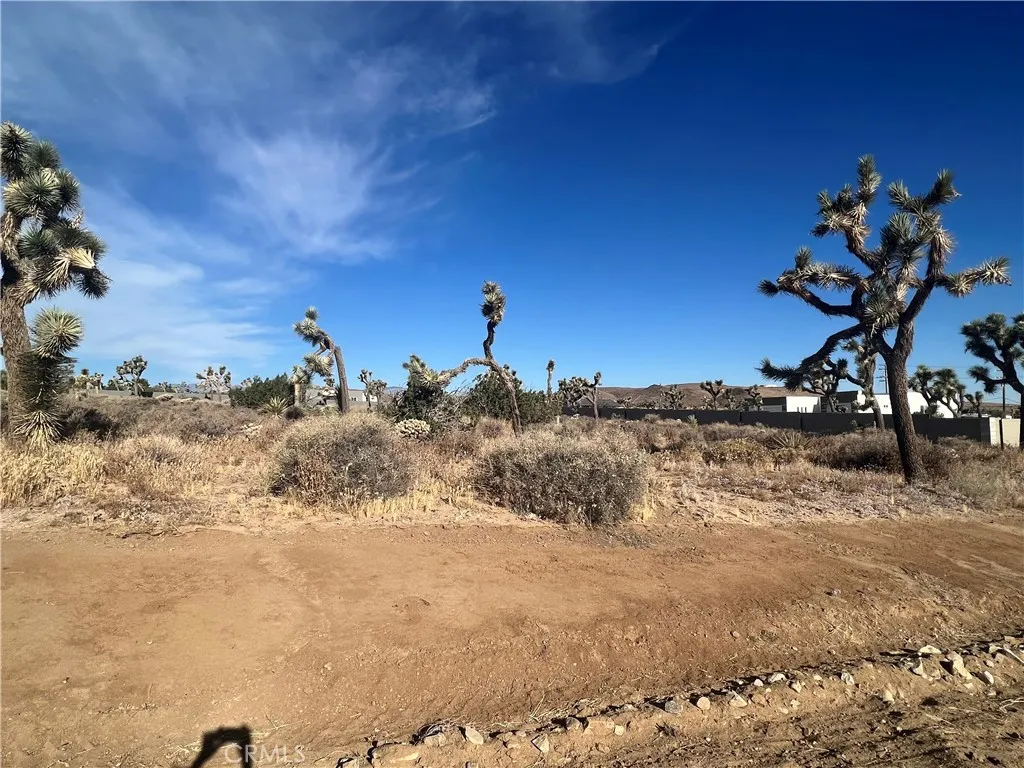 111 Wallaby, Yucca Valley, Ca 92284 - Photo 4 of 5, Yucca Valley, CA